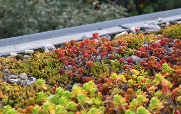 the cost of Achnahuaigh green roof installation